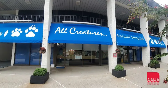 All Creatures Animal Hospital 12