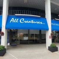 All Creatures Animal Hospital ico