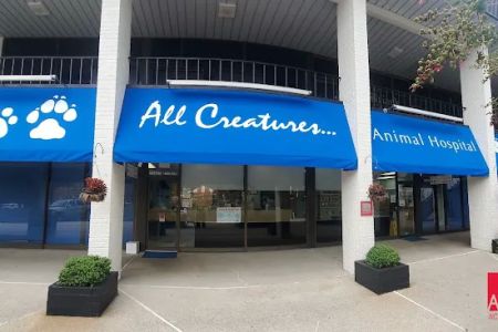 All Creatures Animal Hospital