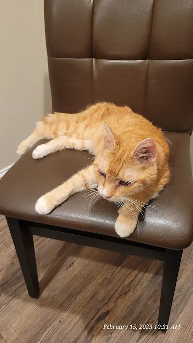 Paw Patch Animal Clinic 12
