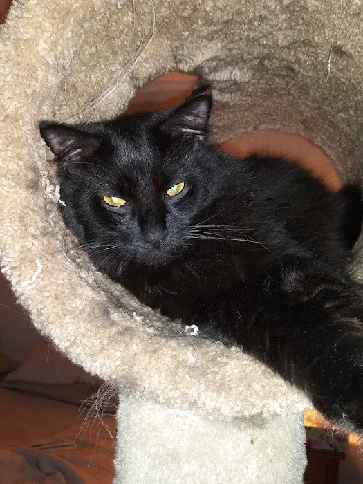 North Roswell Veterinary Clinic 2