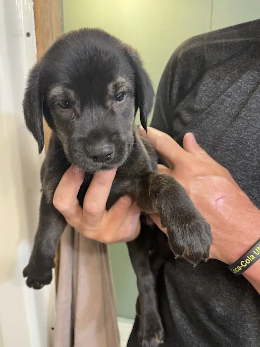 Caldwell Veterinary Hospital 12