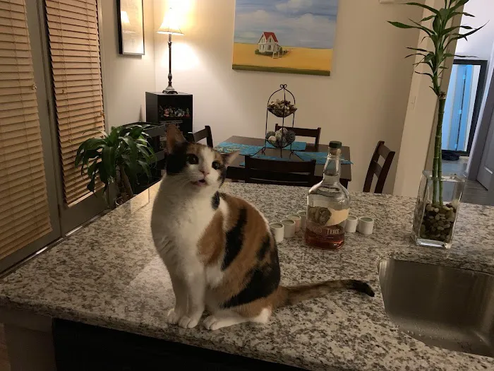 Caldwell Veterinary Hospital 12