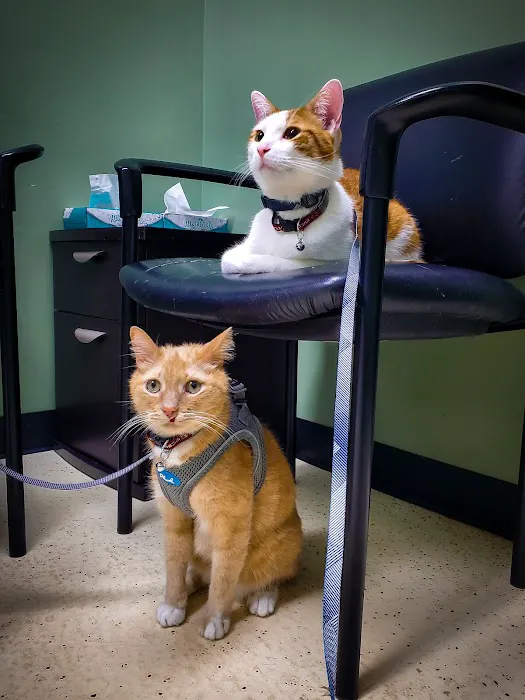 Caldwell Veterinary Hospital 12