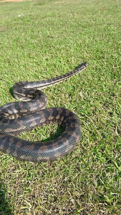 Plantation Centre Animal Hospital 2