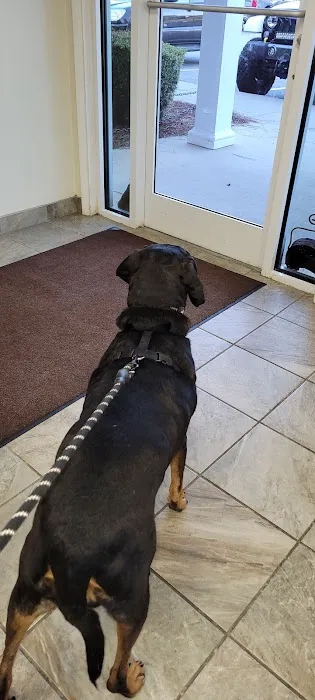 Plantation Centre Animal Hospital 9