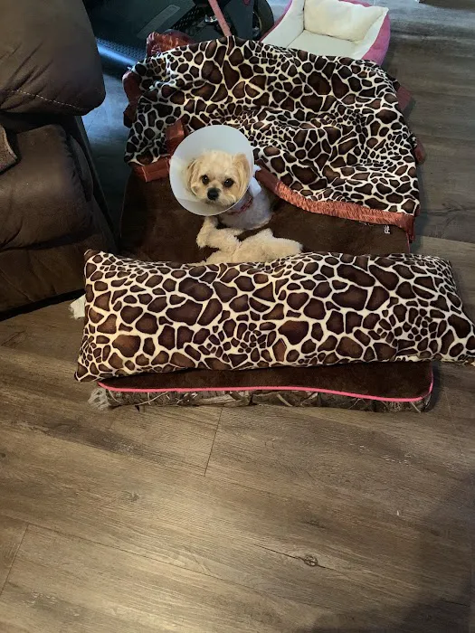 Plantation Centre Animal Hospital 8