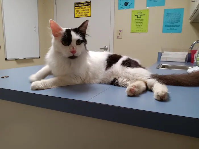 Forsyth Road Animal Clinic 7
