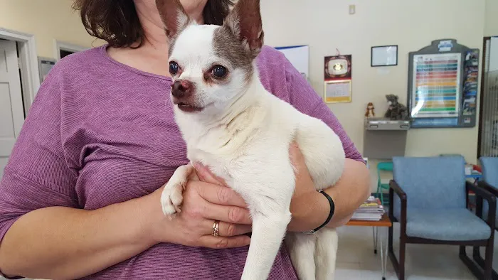 Forsyth Road Animal Clinic 8
