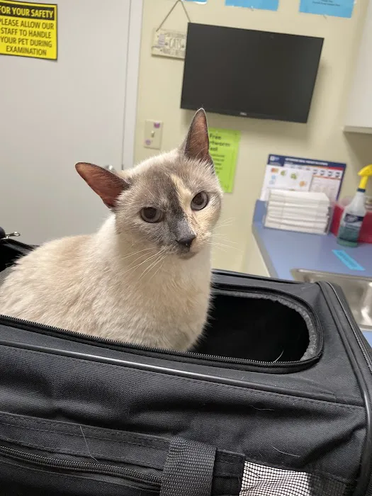 Forsyth Road Animal Clinic 10