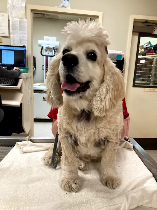 Brantley and Jordan Animal Hospital 5