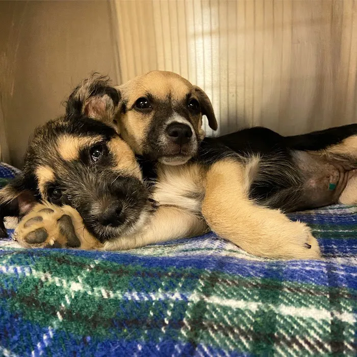 Brantley and Jordan Animal Hospital 7