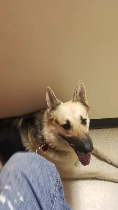 Brantley and Jordan Animal Hospital 10