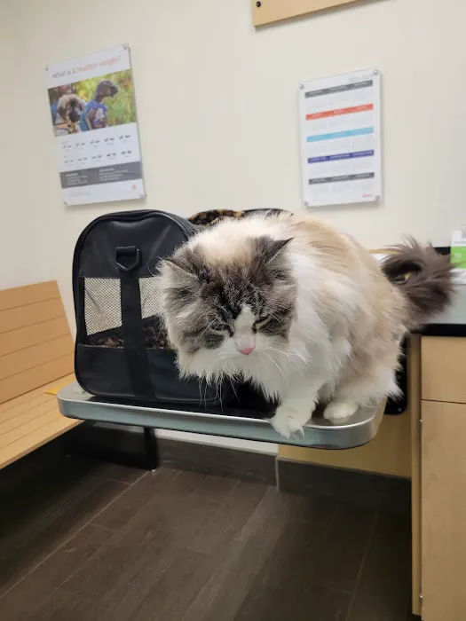 Banfield Pet Hospital 4