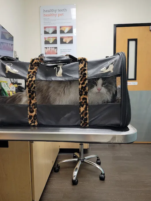 Banfield Pet Hospital 5