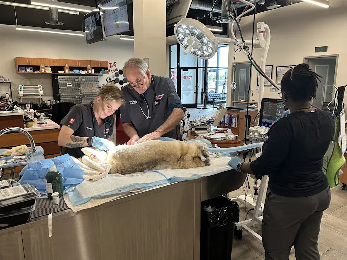 Veterinary Emergency Group 12