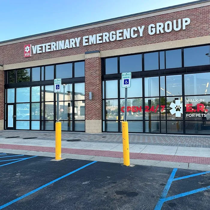 Veterinary Emergency Group 12