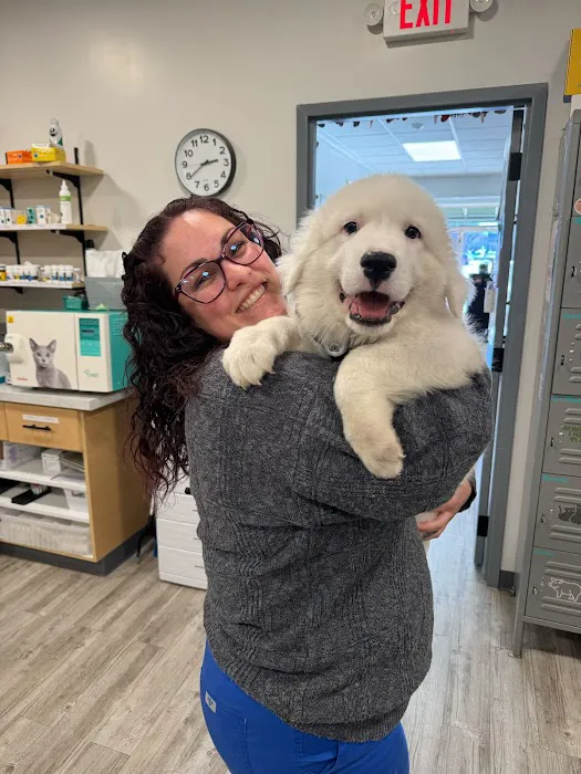 My Pets Wellness - Veterinary Hospital - Greenville 4