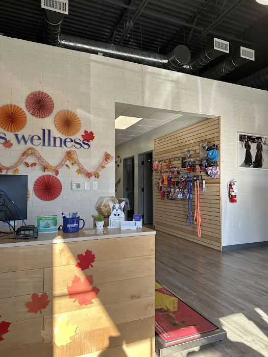 My Pets Wellness - Veterinary Hospital - Greenville 9