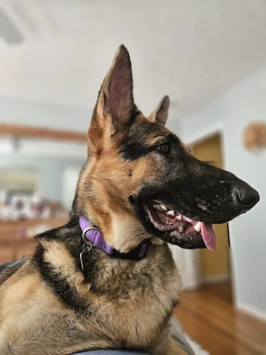 Roper Mountain Animal Hospital 12