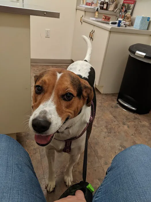 Roper Mountain Animal Hospital 12