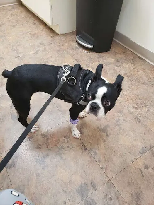 Roper Mountain Animal Hospital 12