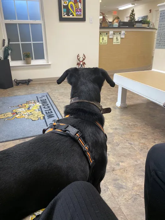 Roper Mountain Animal Hospital 12
