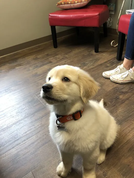 Crosswinds Animal Hospital 1