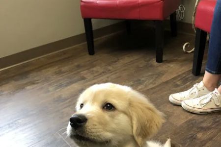 Crosswinds Animal Hospital