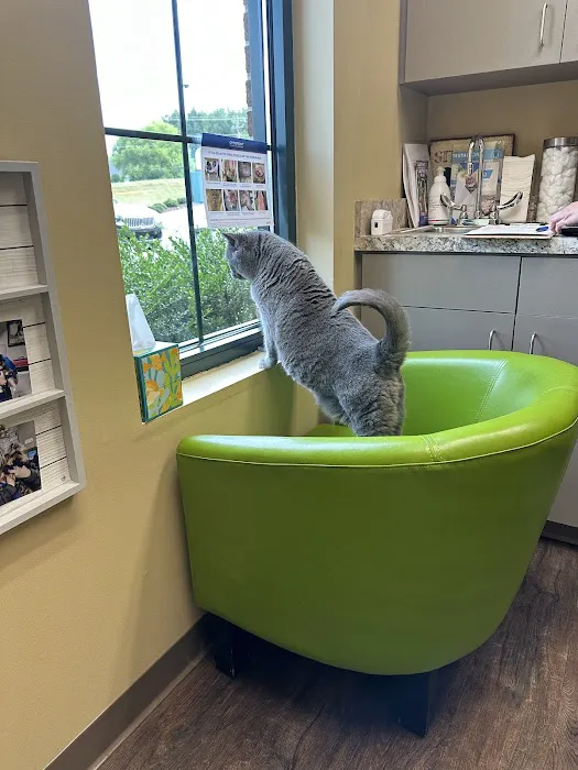 Crosswinds Animal Hospital 3