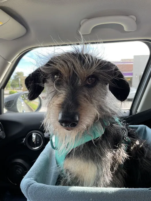 Crosswinds Animal Hospital 9