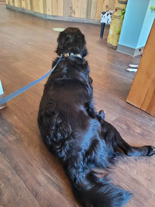 Crosswinds Animal Hospital 10