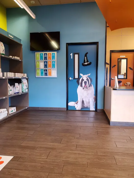 Banfield Pet Hospital 12