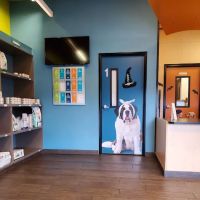 Banfield Pet Hospital ico