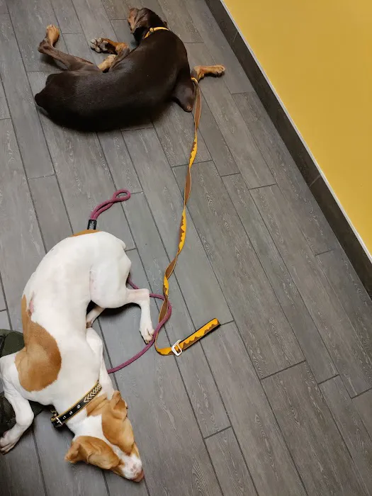 Banfield Pet Hospital 12