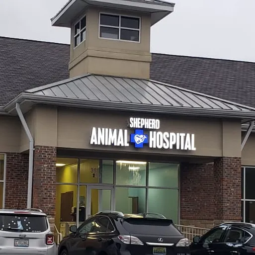 Shepherd Animal Hospital 12