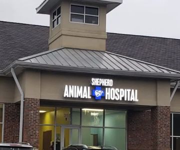 Shepherd Animal Hospital