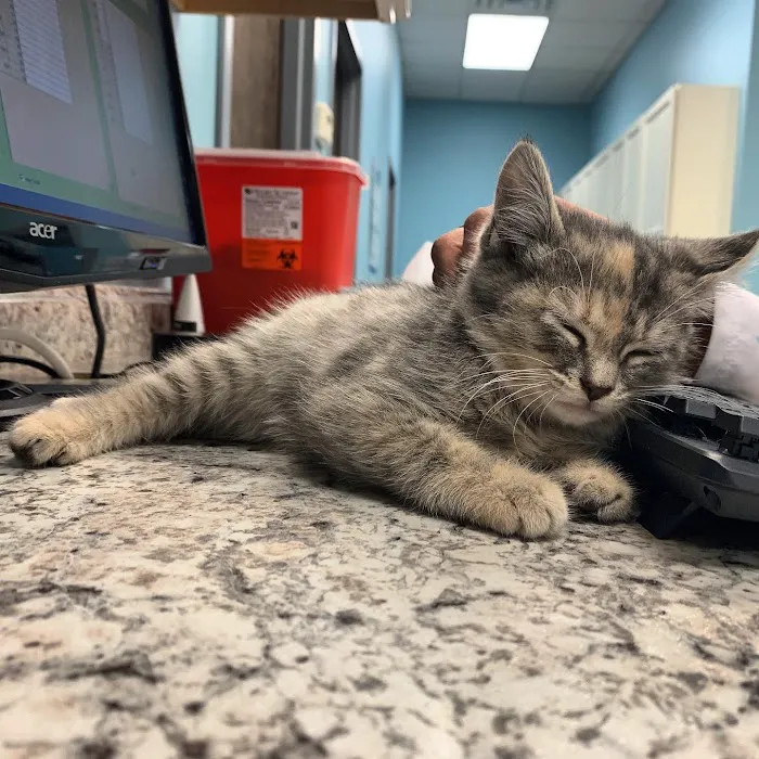 Shepherd Animal Hospital 12