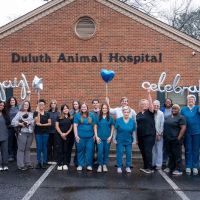 Duluth Animal Hospital ico
