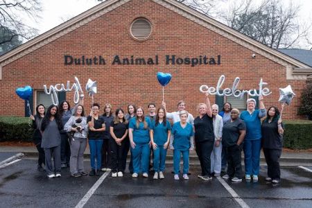 Duluth Animal Hospital