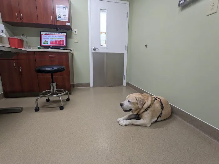 Duluth Animal Hospital 4
