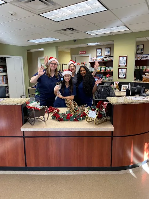 Duluth Animal Hospital 2