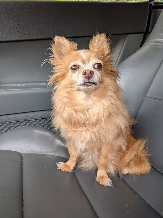 Ivy Hill Animal Hospital 1