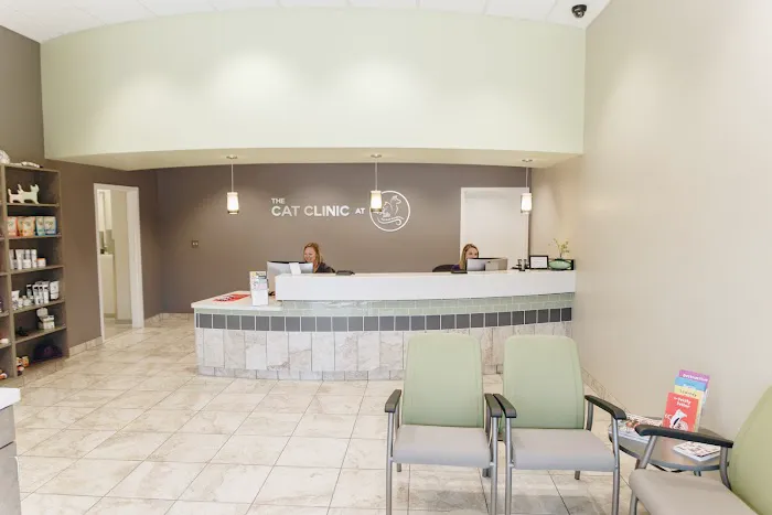 The Cat Clinic at Tiger Tails 2