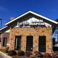 Tiger Tails Animal Hospital ico