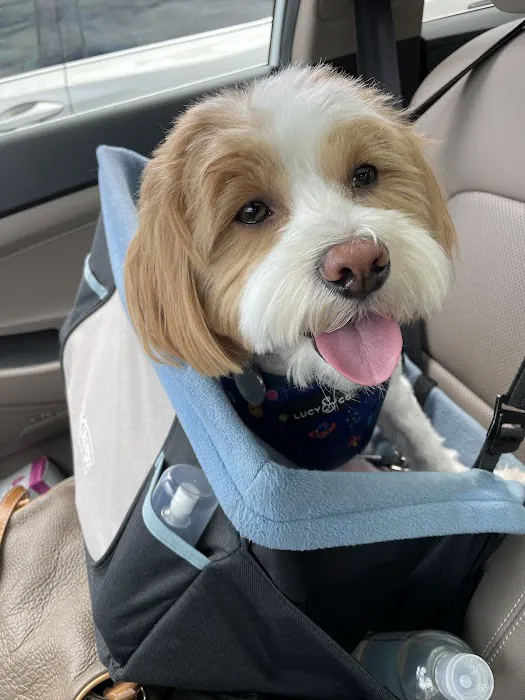 Hope Animal Medical Center 9