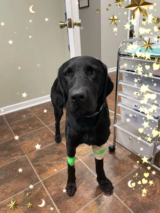 Woodlands Veterinary Referral 5
