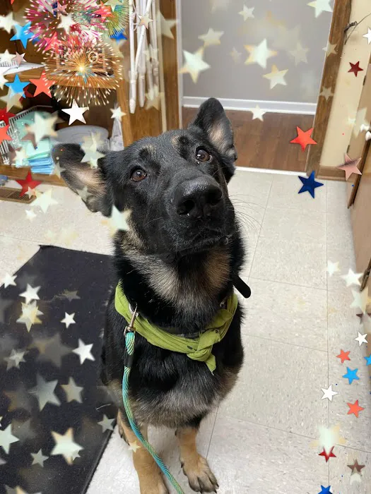 Woodlands Veterinary Referral 6