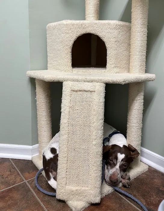 Woodlands Veterinary Referral 4