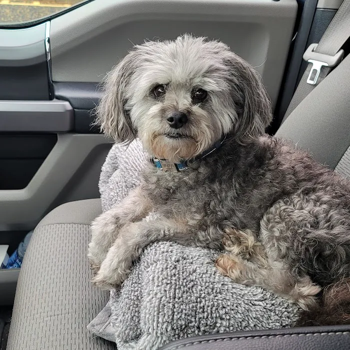 Woodlands Veterinary Referral 9